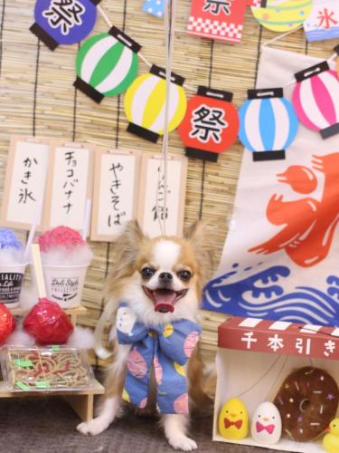 20240714プリューくん